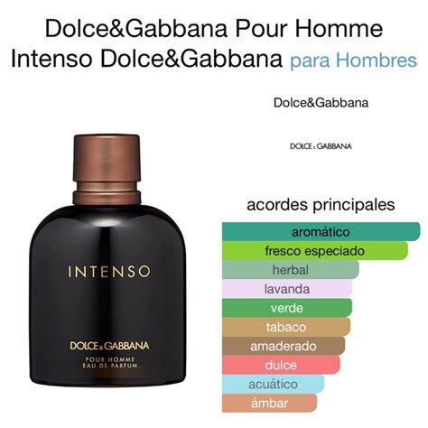 dolce gabbana 2018 pour homme|dolce and gabbana intenso notes.